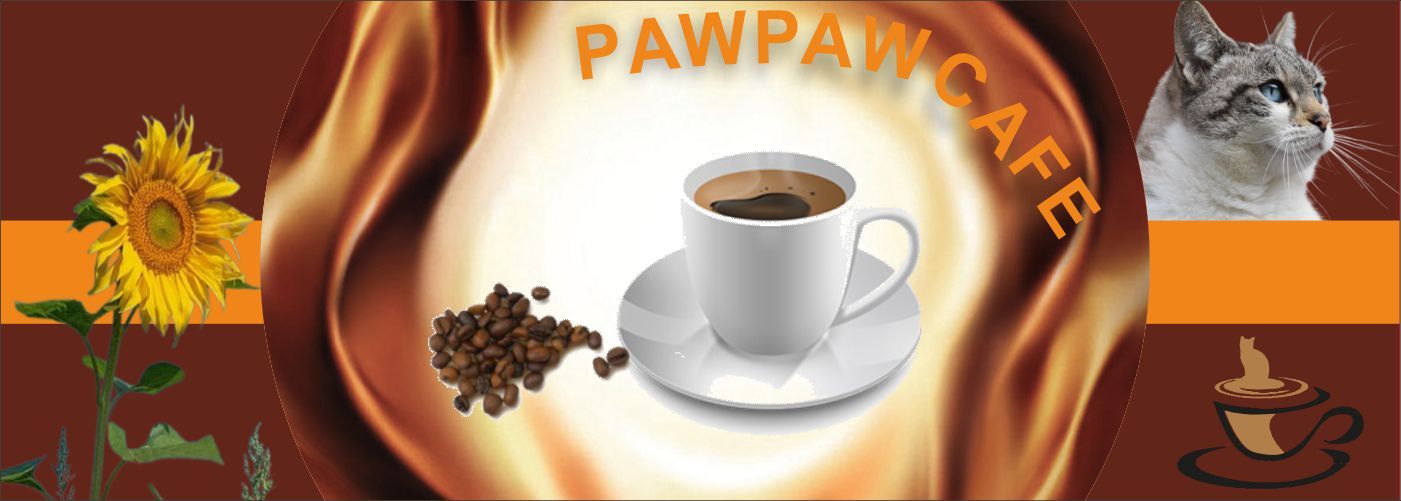 PawPawCafe7桌上雪